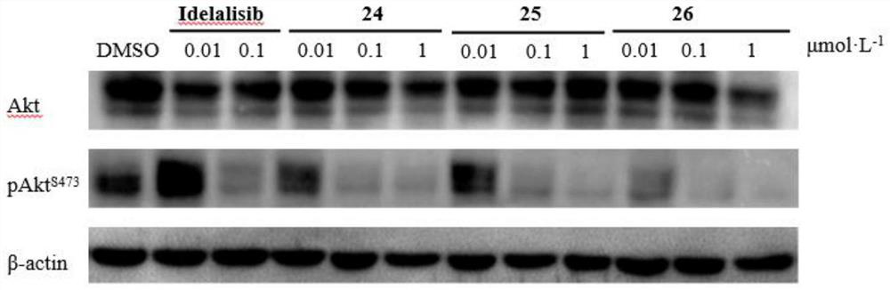 Pyridopyrimidine compound and application thereof