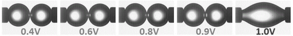 A device for testing stability of emulsions and liquid marbles and a method therefor