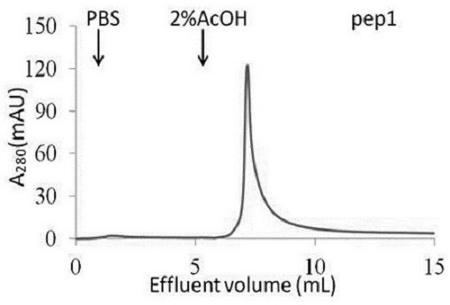 Application of hydrophobic cyclic peptide ligand in purification of human immunoglobulin G