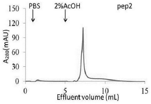 Application of hydrophobic cyclic peptide ligand in purification of human immunoglobulin G