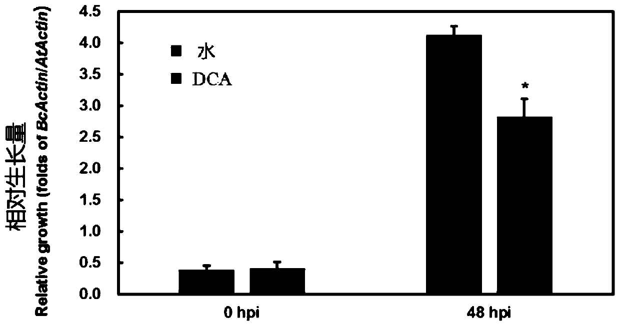 Application of 3,5-dichloroanthranilic acid in induction of resistance of arabidopsis thaliana to gray mold and method of 3,5-dichloroanthranilic acid