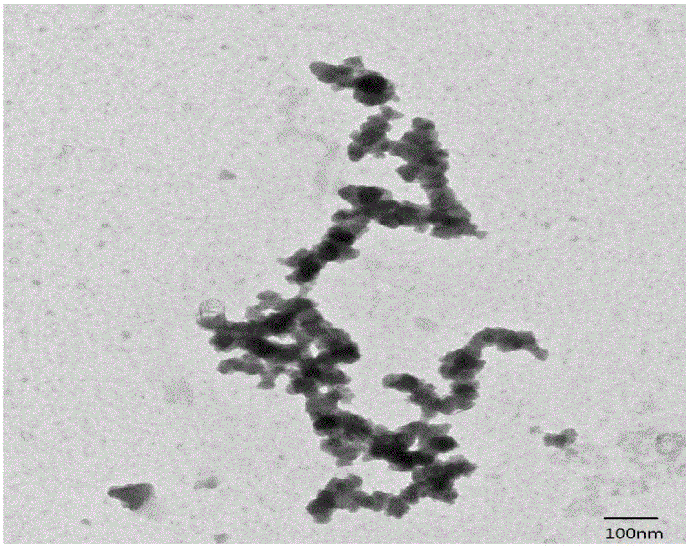 A kind of method utilizing octreotide acetate as template to prepare coral-like nano-cobalt