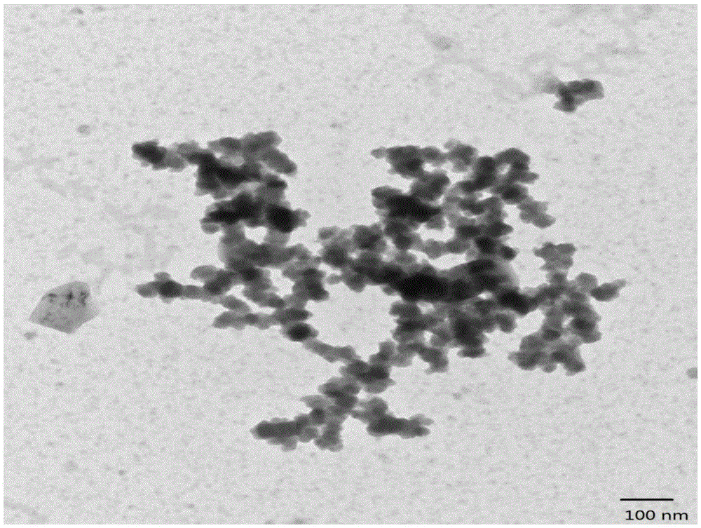 A kind of method utilizing octreotide acetate as template to prepare coral-like nano-cobalt