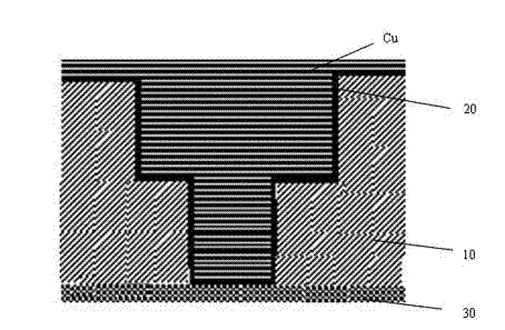 Polishing solution based on polishing process of metal Co and application thereof