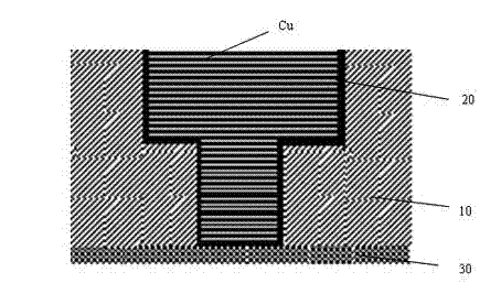 Polishing solution based on polishing process of metal Co and application thereof