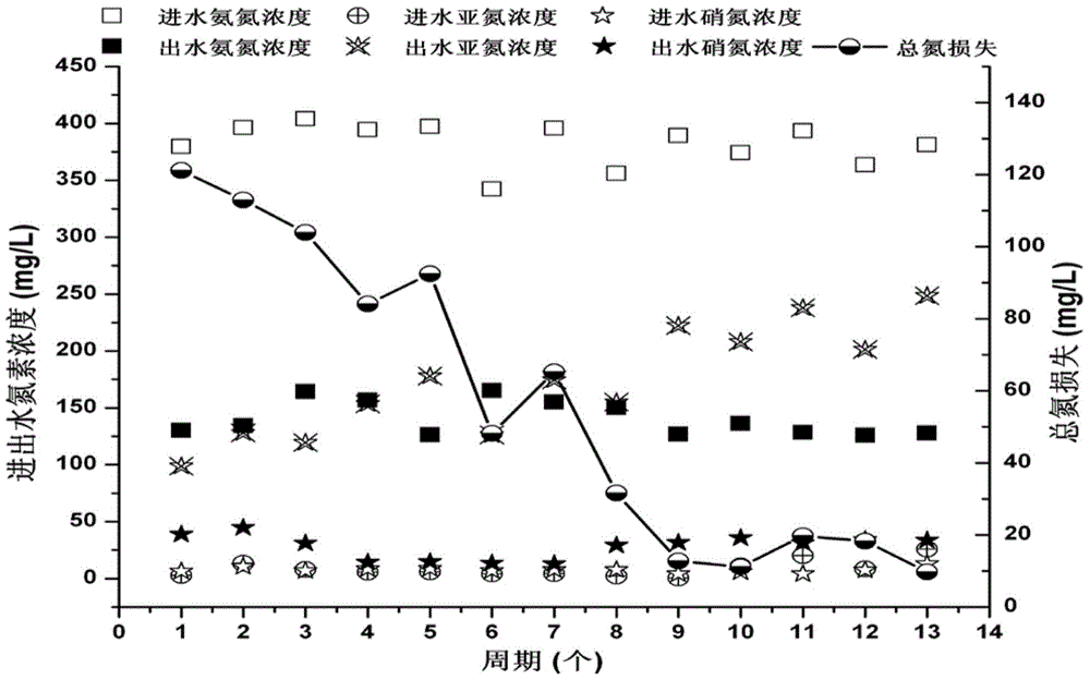 Method for rapid mutagenesis of autotrophic nitrosation sludge from complete nitrifying sludge