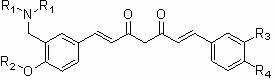 Nitrogen-containing substituent curcumin analogue and medical application thereof