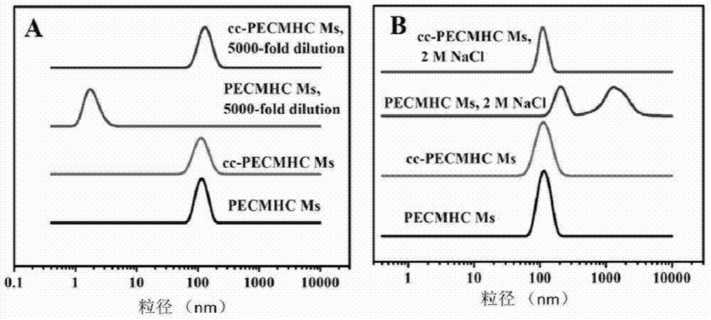 Double-sensitive amphiphilic copolymer containing Schiff base and mercapto group on same side group, as well as preparation method and application of double-sensitive amphiphilic copolymer