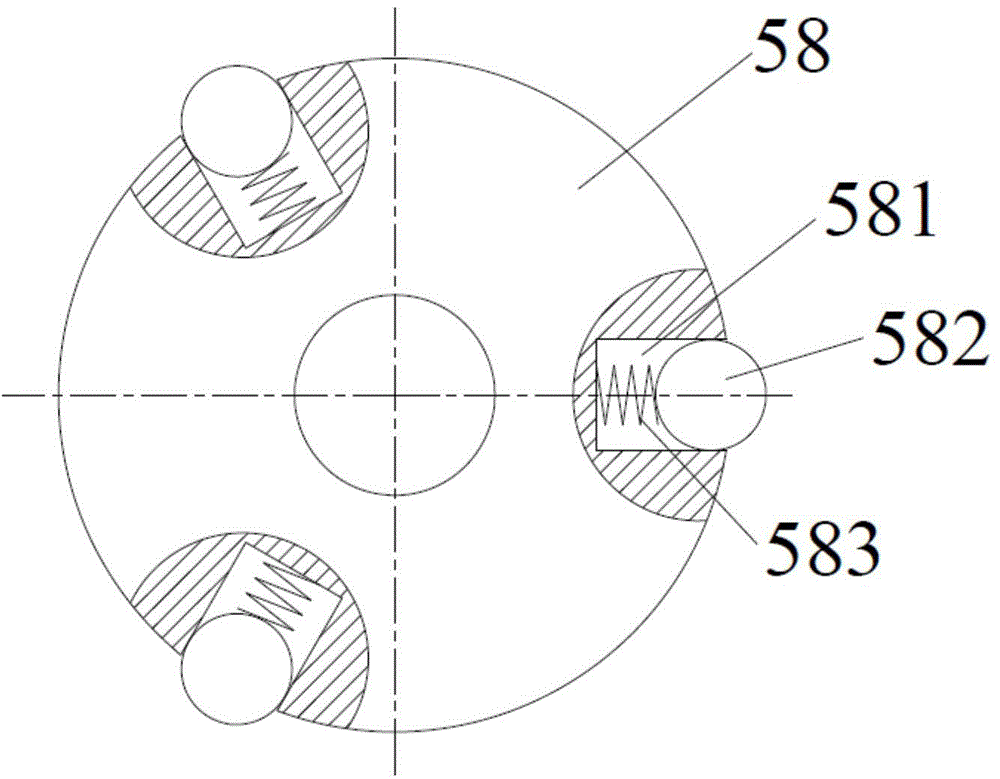 Scindapsus aureus cultivation tool