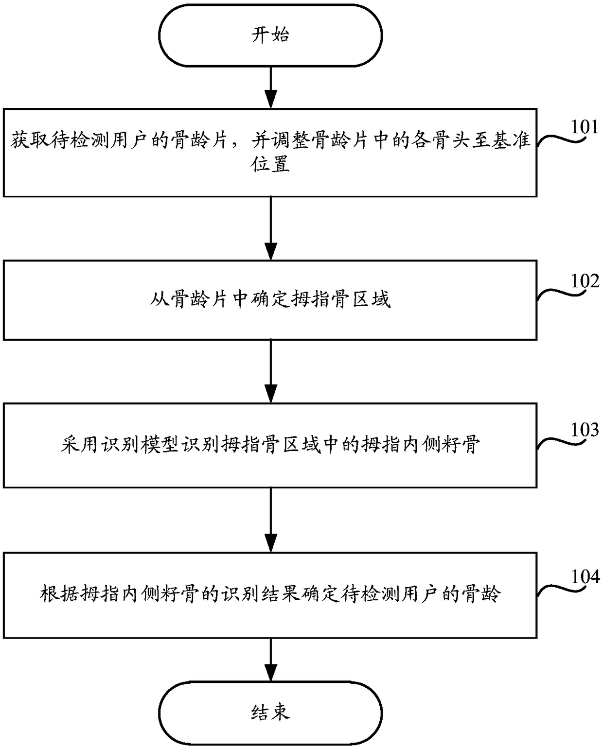 A method and apparatus for detecting bone age