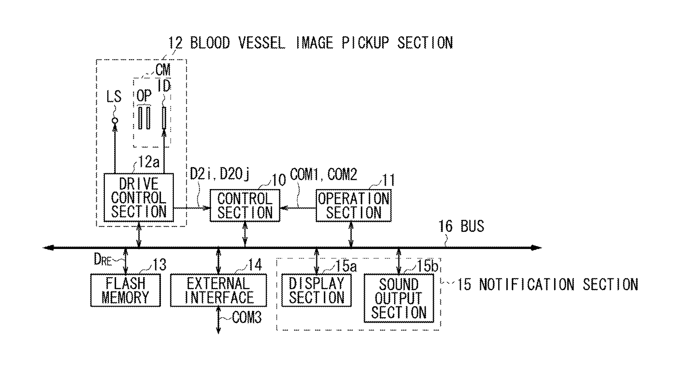 Correlation-based biometric authentication apparatus, authentication method and program