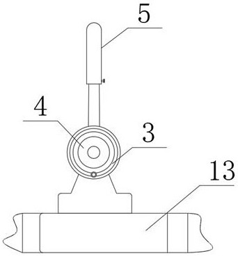 A mung bean seeding device