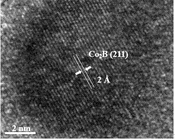 Preparation method and application of heteroatom-doped metal carbon-containing material