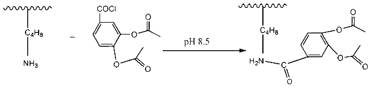 Method for modifying function gelatin