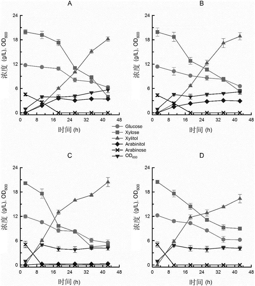 Xylose reductase mutant, genetically engineered bacteria and application in producing xylitol