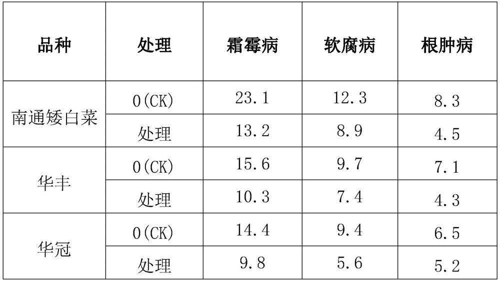 Method for efficient cultivation of brassica campestris in summer