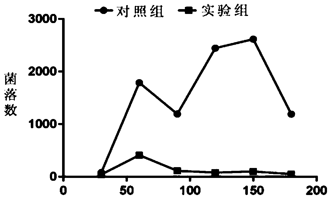 Preparation method of astragalus polysaccharide chitosan nanoparticles and application thereof