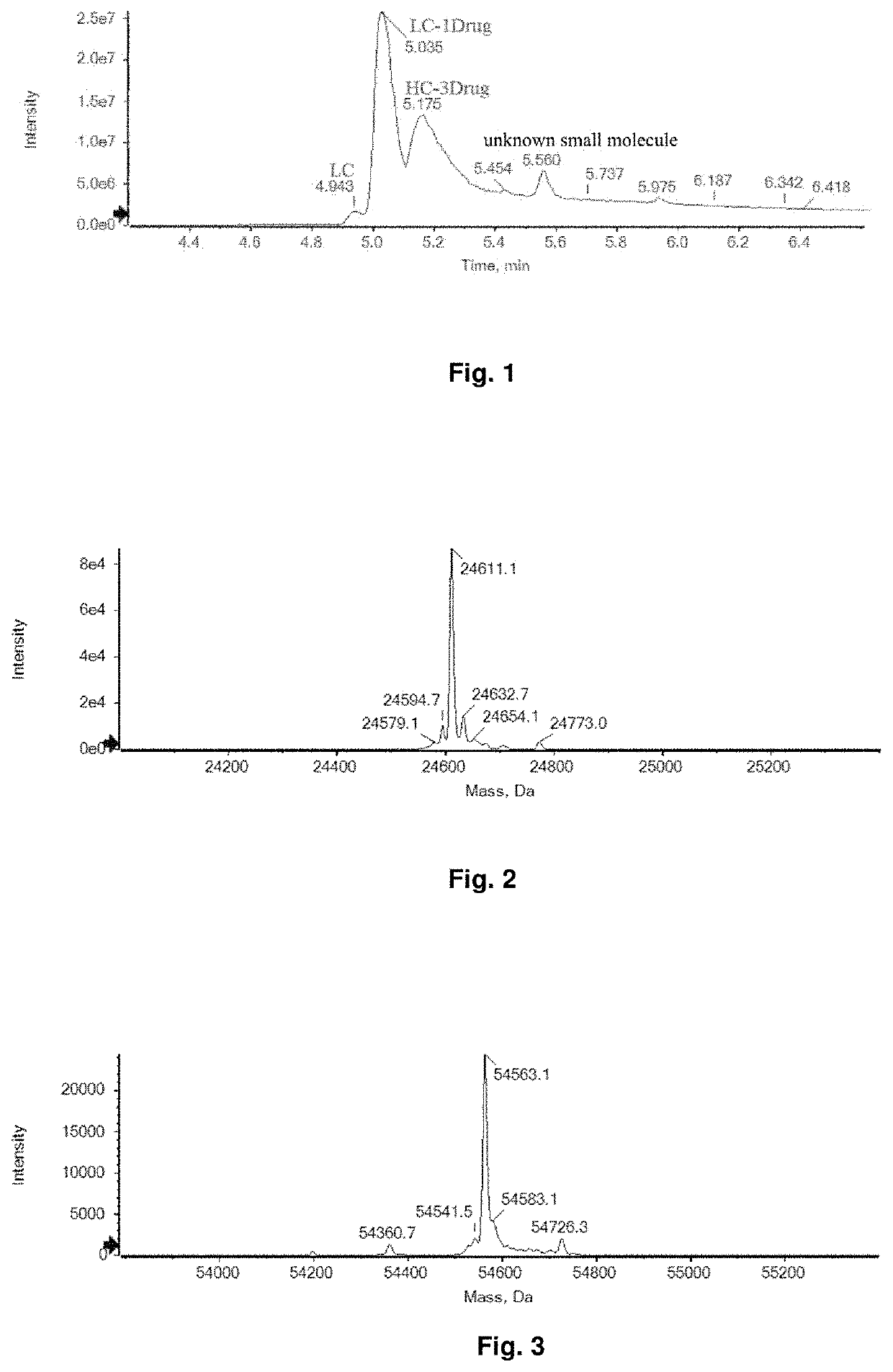 Bioactive conjugate, preparation method therefor and use thereof