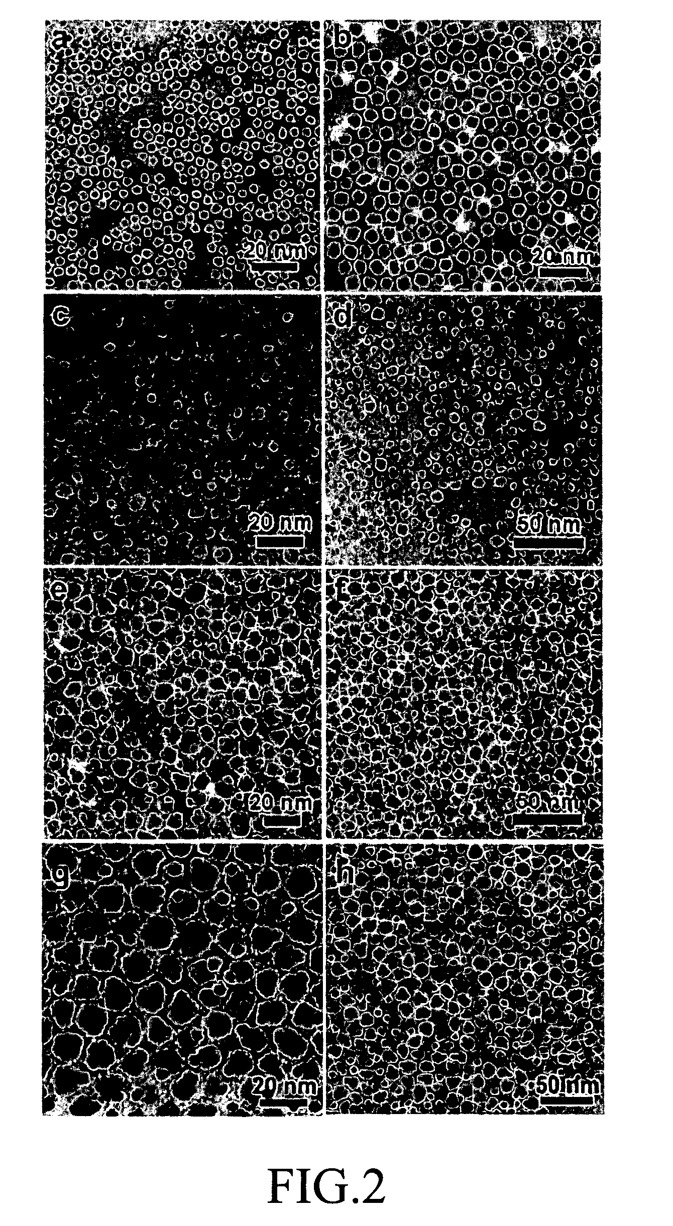 Fuel cell, membrane electrode assembly