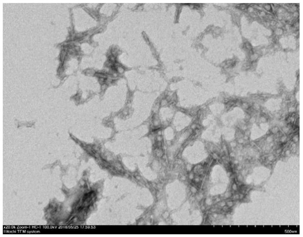 Preparation method of cellulose nanocrystals