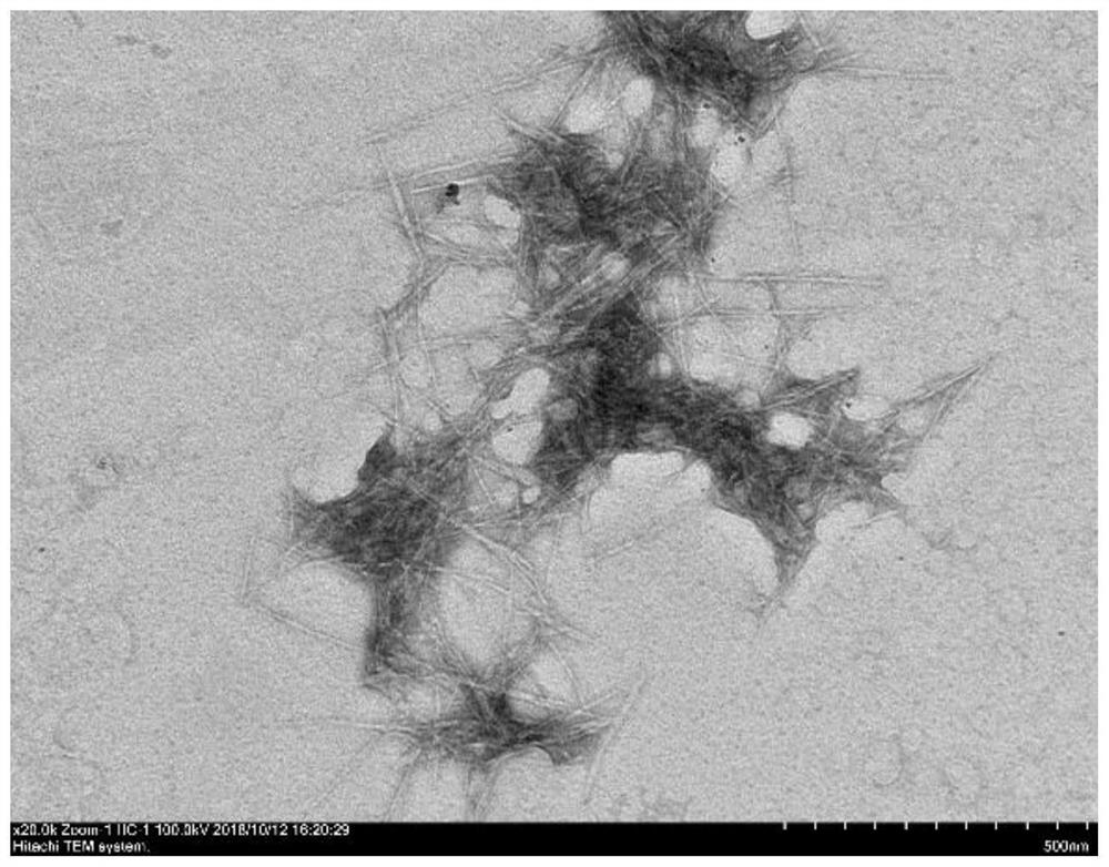 Preparation method of cellulose nanocrystals