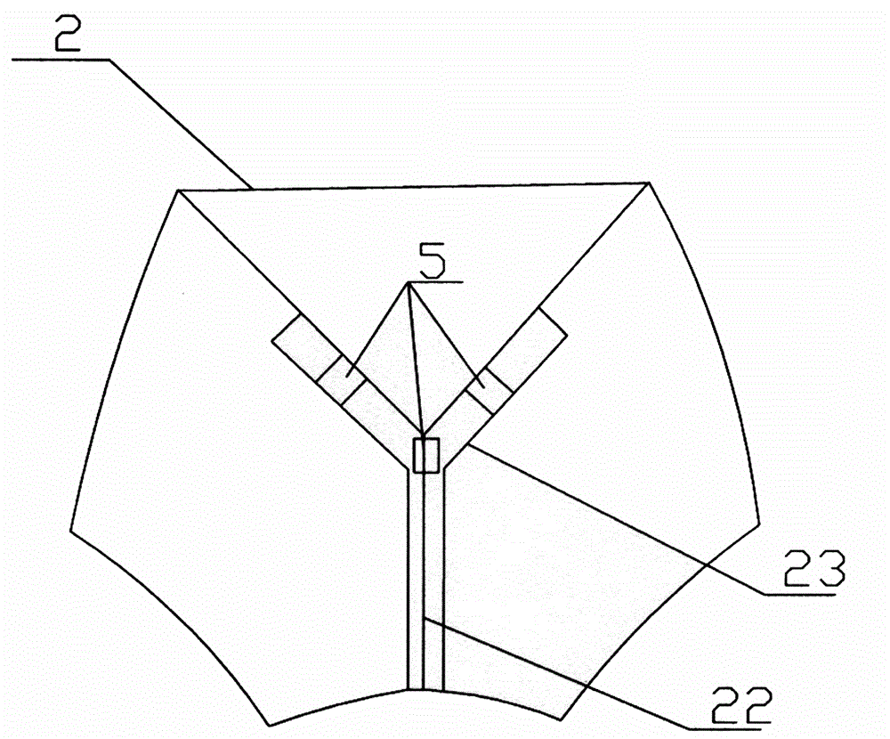 All-matched underwear having back exposure function