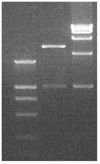 Milk cow Streptococcus uberis subunit vaccine GapC protein, and preparation method and application thereof