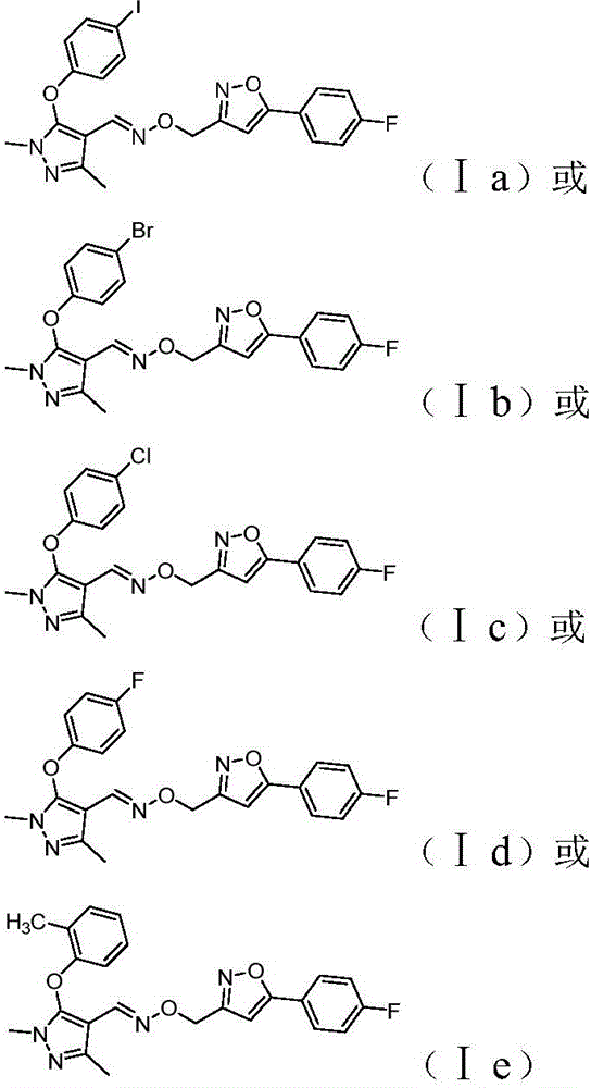 Preparation and application of pyrazole oxime ether compound with 5-(4-fluorophenyl) isoxazole structure