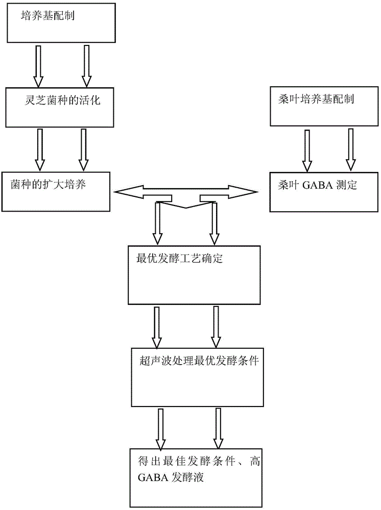 Method for enriching GABA (gamma-aminobutyric acid) in mulberry leaves