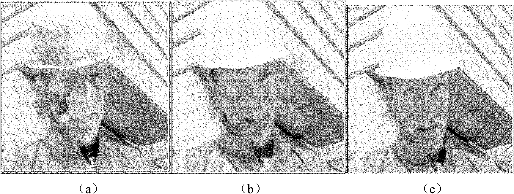 Video service quality-based hybrid selective repeat method