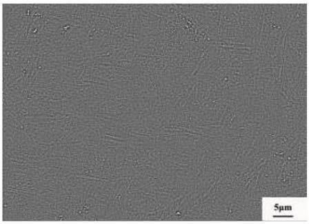 Heat Treatment Method for Improving Strength-Plasticity Matching Properties of SLM Forming TC4