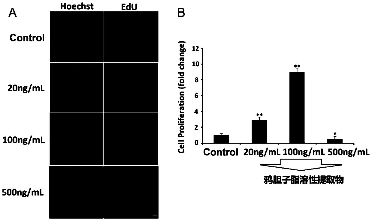 Application of java brucea fruit fat-soluble extract in preparation of drugs for promoting peripheral nerve regeneration