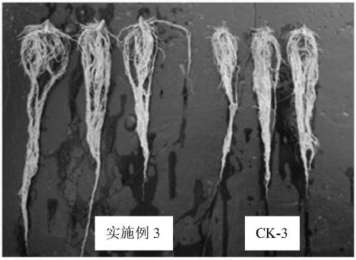 Suspension liquid fertilizer for root promotion and seedling raising, and preparation method and applications thereof