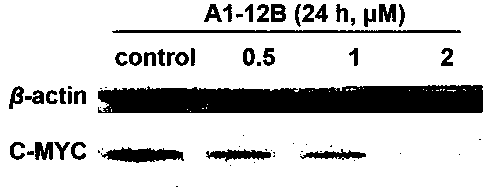 A kind of quinazolinone and α, β-unsaturated ketone conjugate derivative and its preparation method and application