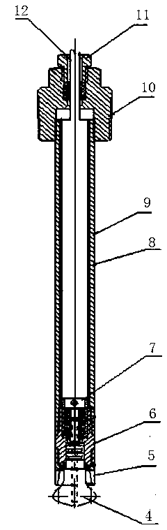 Online direct measurement device of wellhead crude oil water content on basis of radio frequency method