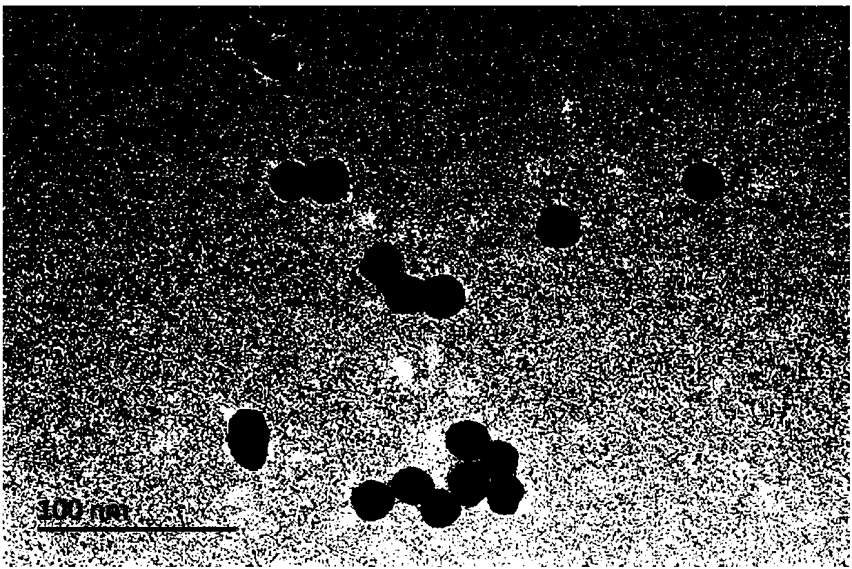 Preparation method of nano gold immobilized pellets and application of nano gold immobilized pellets to ziram detection