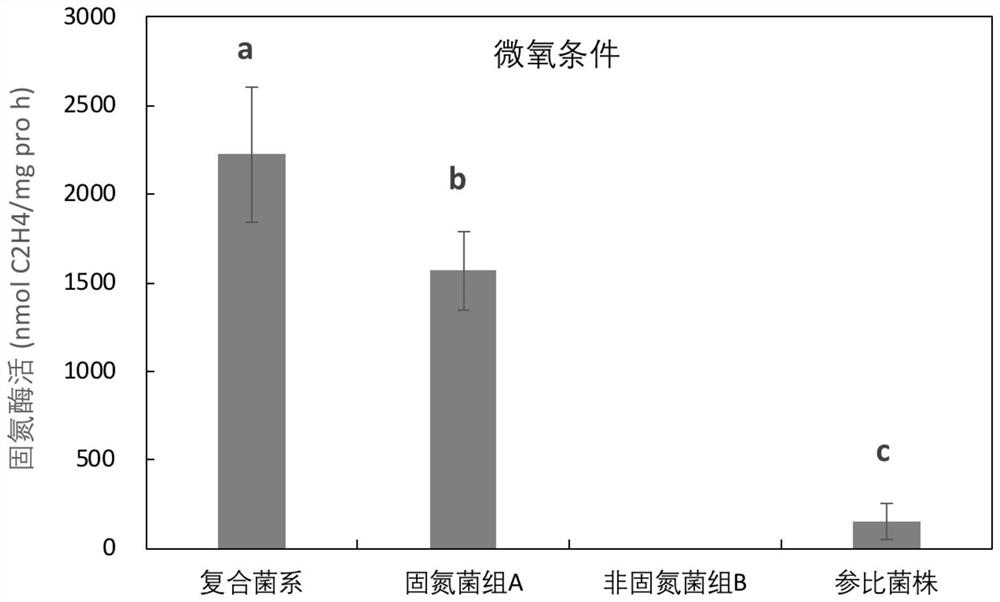 Enhanced high-efficiency nitrogen-fixing complex microbial system added with non-nitrogen-fixing bacteria and application thereof