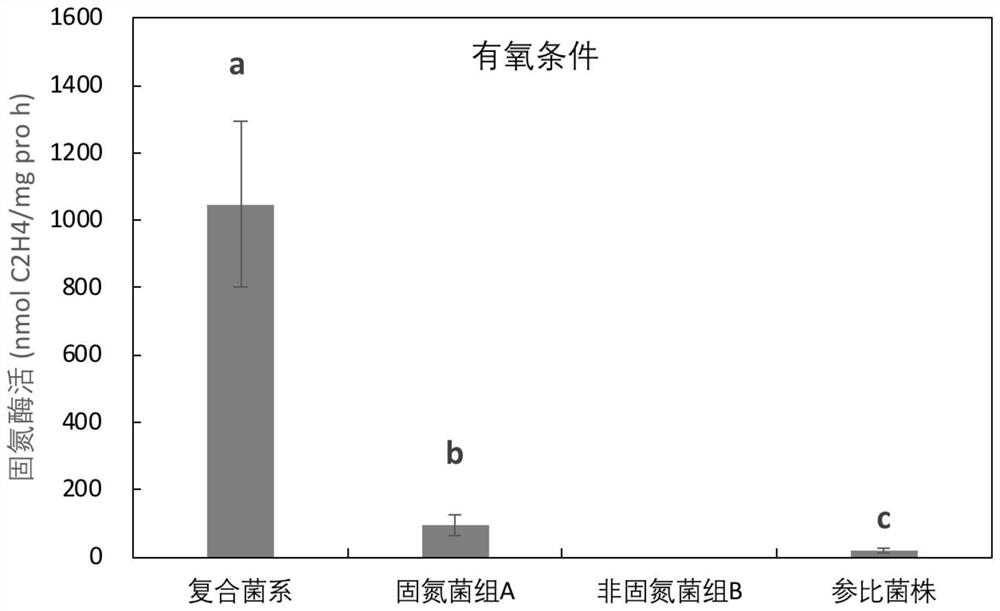 Enhanced high-efficiency nitrogen-fixing complex microbial system added with non-nitrogen-fixing bacteria and application thereof