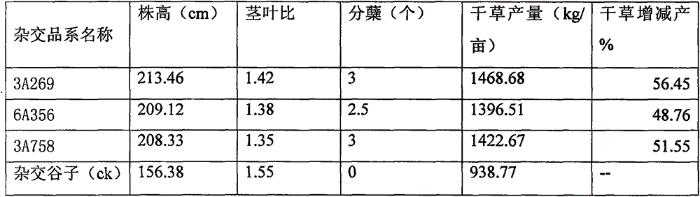 Breeding method for anti-sethoxydim fodder Setaria italica hybrid