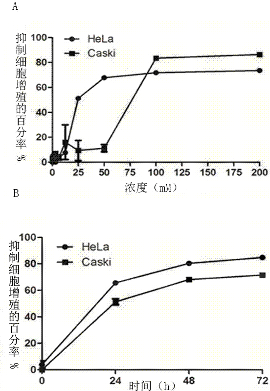 Application of metformin in preparation of drug for cervical cancer