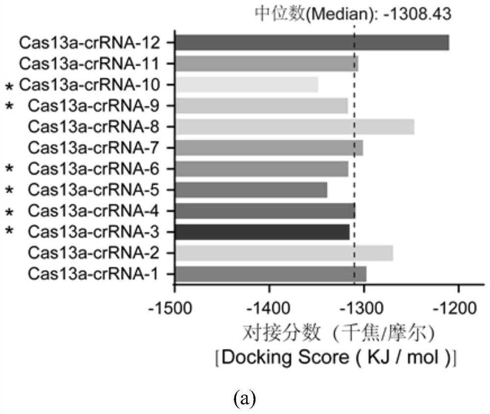 Gene targeting novel coronavirus spinous process, kit, screening method and application