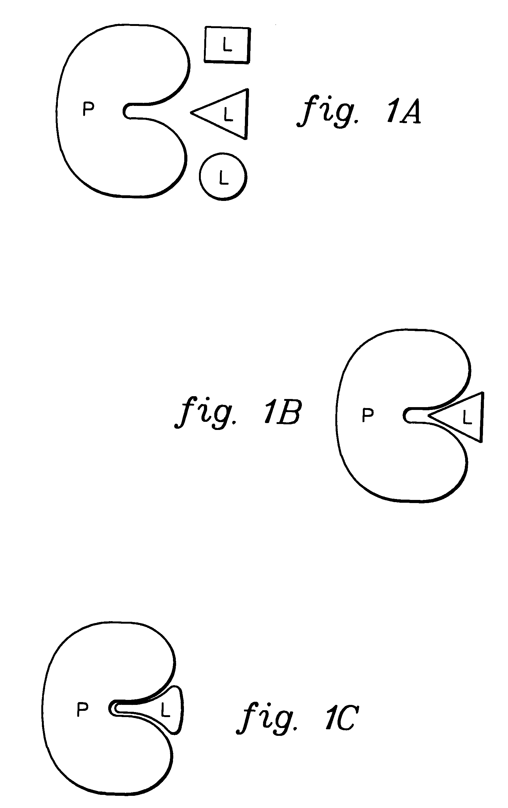 Molecular docking technique for screening of combinatorial libraries