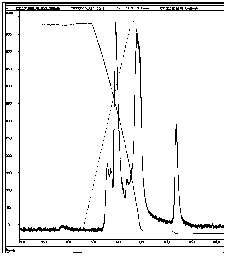 Anti-HER2 polyclonal antibody as well as preparation method and application thereof