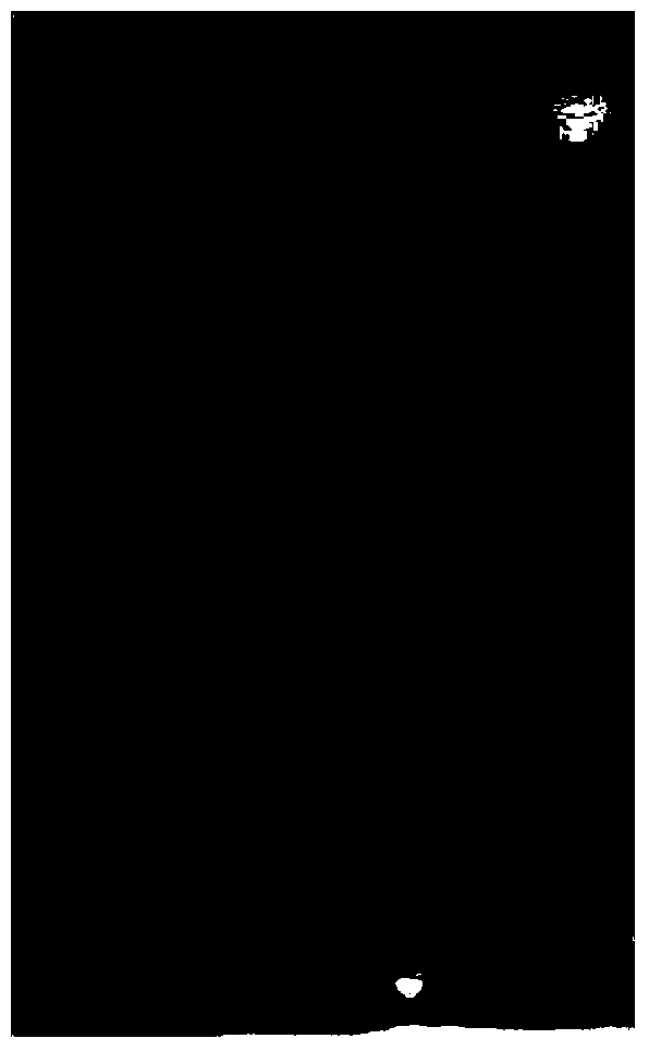 Anti-HER2 polyclonal antibody as well as preparation method and application thereof