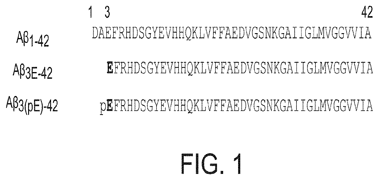 Antibodies to Pyroglutamate Amyloid-B and Uses Thereof