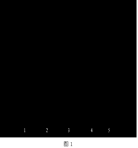 Method for detecting medicine for treating irritable bowel syndrome