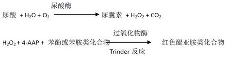 Uric acid test kit capable of eliminating drug interference of calcium dobesilate and etamsylate in serum and preparation method thereof