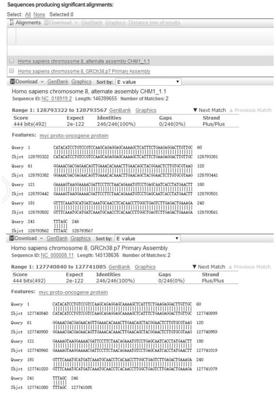 A method for obtaining myc gene in human tissue by two-step overlapping PCR method