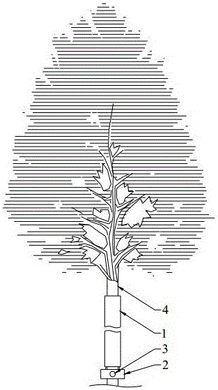 Seedling insulation system in low temperature environment