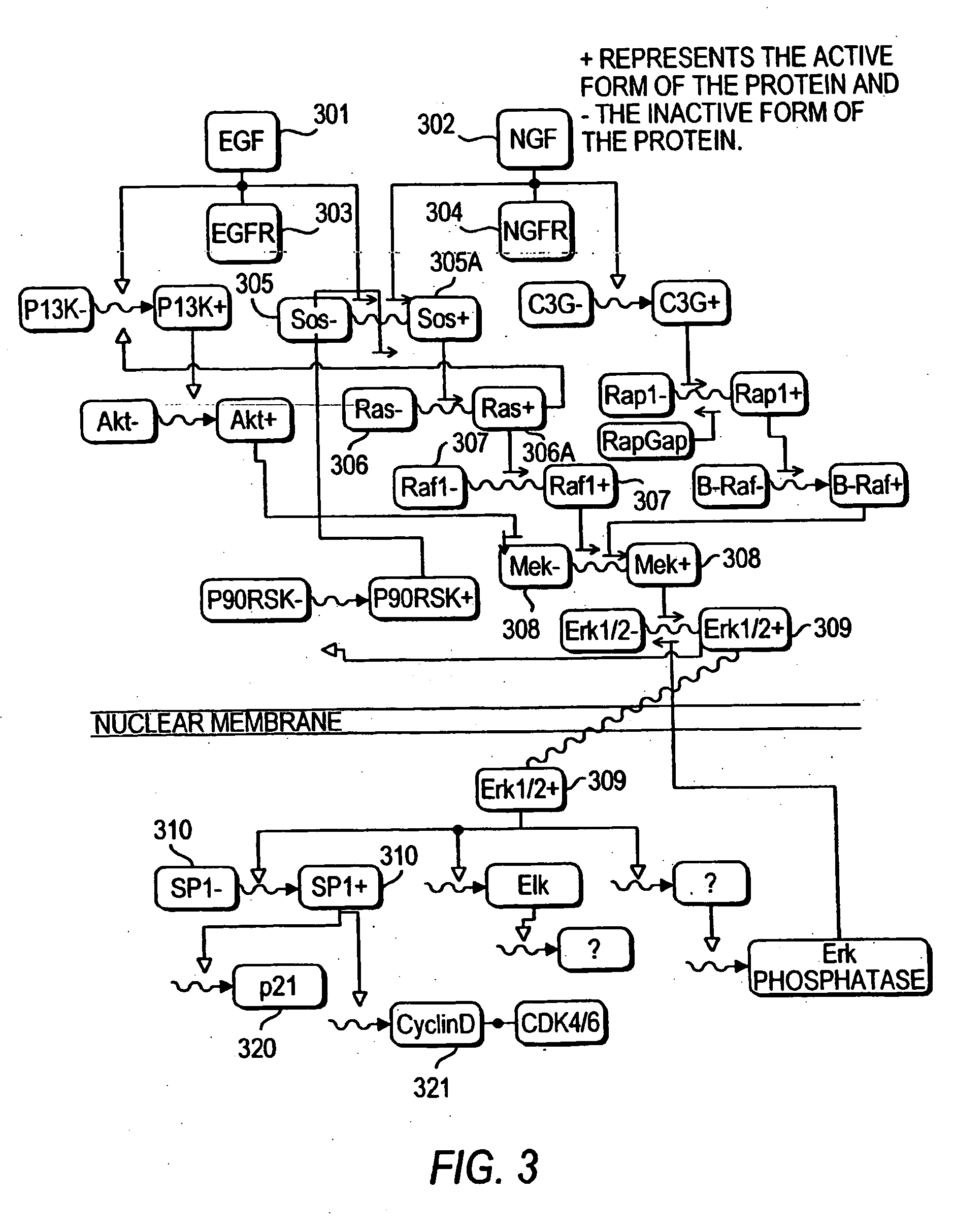 Methods and systems for the identification of components of mammalian biochemical networks as targets for therapeutic agents